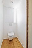 Fototapeta Tulipany - Toilet in newly converted house