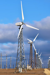 Wall Mural - Group of windmill for renewable electric energy production