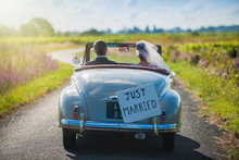 A Newlywed Couple Is Driving A Retro Car, Rear View