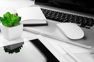 Canvas Print - Office workplace with tablet and pot plant close up