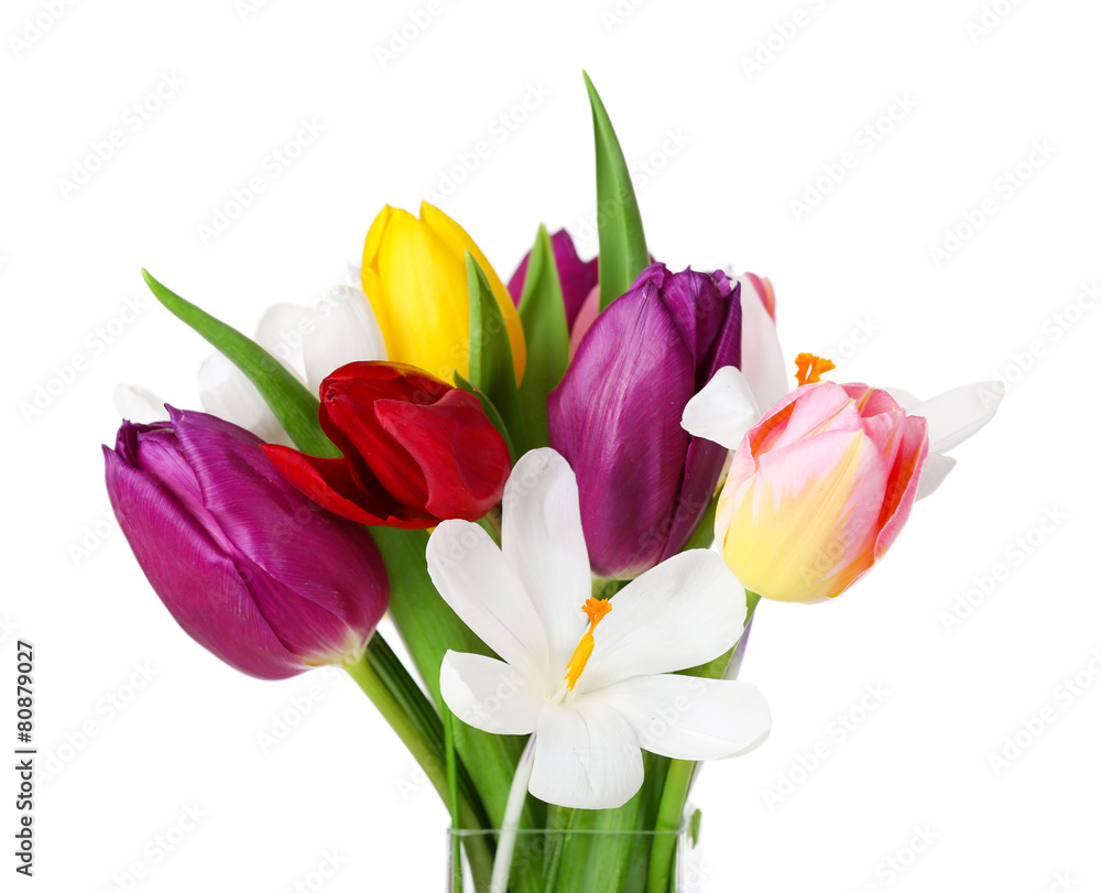 Fresh bouquet with tulips and crocus isolated on white