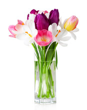 Fresh Bouquet With Tulips And Crocus Isolated On White