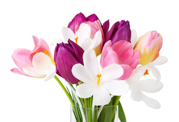 Poster - Fresh bouquet with tulips and crocus isolated on white