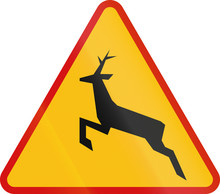 Polish Sign Warning About Wild Animals Like Deer Crossing The Road
