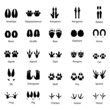 © k_tatsiana - Set of traces of animals and birds, vector illustration