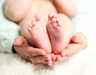 Wall Mural - Newborn baby feet on female hands, close-up