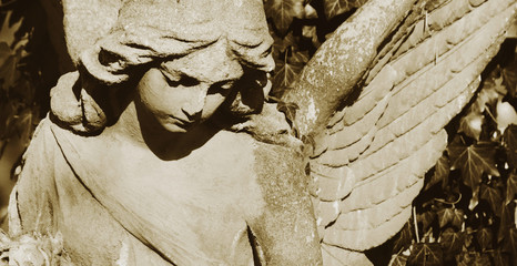 Papier Peint - vintage image of a sad angel on a cemetery against the backgroun