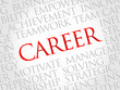 © dizain - Career word cloud, business concept