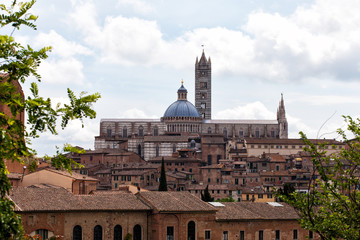 Wall Mural - Ancient architecture in the city of Siena, Tuscany, Italy