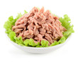 Canned tuna with green salad on white