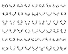 Black Silhouettes Of Different Deer Horns, Vector