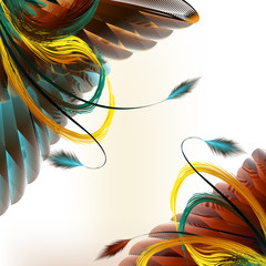 Poster - Feathers vector  background