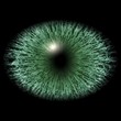 © rdonar - Monster eye with striped iris and dark elliptic pupil with green