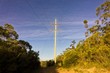 Moon Shining Through Electric Poles on Sunny Day