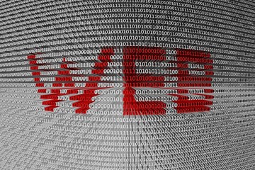 Wall Mural - the binary code of the web