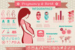 pregnancy and birth infographics, presentation template and icon
