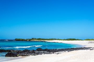 Wall Mural - Galapagos White Sand Beach