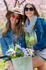 Wall Mural - Two beautiful young women with a vintage bike in the field.