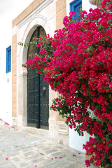  The door in Tunisia