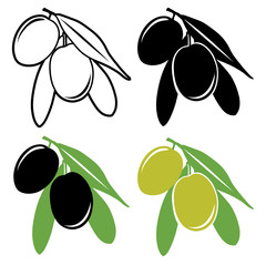 Poster - Olives vector set