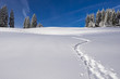 canvas print picture - Spur von Schneeschuhwanderern im Schnee