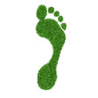 Green grass print of human foot