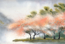 Watercolor Landscape. Flowering Tree Near River