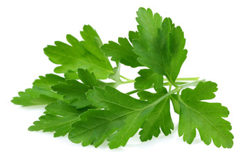 Poster - Parsley