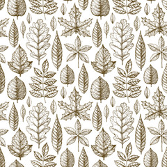 Seamless pattern with a leaves drawing