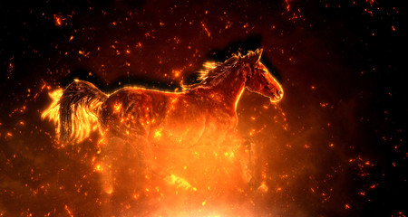 Wall Mural - horse