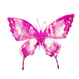 Fototapeta Motyle - butterflies design