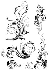 Wall Mural - Set of floral design elements. Vector