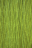 Fototapeta Sypialnia - Green bamboo. Picture can be used as a background