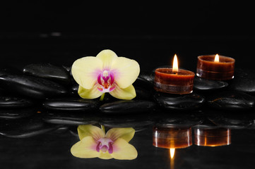 yellow orchid with two candle on therapy stones