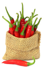 Poster - Red chili peppers in a sack bag