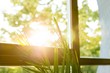 © Sved Oliver - Green plant against window