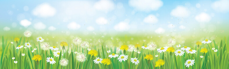 Wall Mural - vector nature spring background.