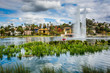 Grasses and a fountain in Echo Park Lake, in Los Angeles, Califo