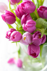Fotomurales - beautiful purple tulip flowers in vase