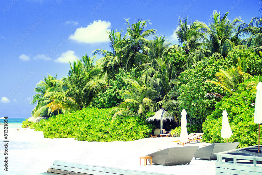 Palm leaves and blue sky on island in resort