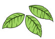 Green Leaves Vector Elements