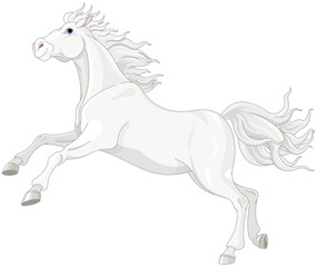 Wall Mural - Beautiful white horse