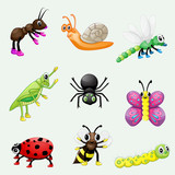 Fototapeta Pokój dzieciecy - Set of cute cartoon insects
