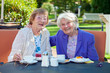 Happy Senior Women Relaxing at the Garden Table.