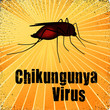 Mosquito, Chikungunya Virus, heath care, medical, gold rays