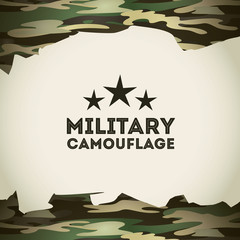 Wall Mural - military camouflage