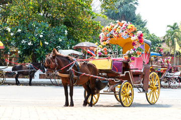  Horse carriage