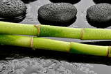 Fototapeta Kamienie - Mokre bambusy z kamieniami bazaltowymi