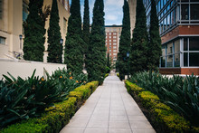 Gardens Along A Walkway At Maguire Gardens, In Downtown Los Ange