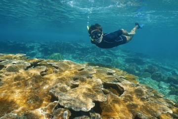 Wall Mural - Man snorkeling underwater over tropical reef